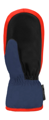 3---Reusch_Ben_Mitten_6285408_4939_4939_back-_no-bg