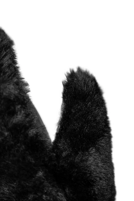 4---Reusch_Molly_R-TEX®_XT_Mitten_6531557_7700_black_4