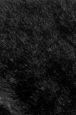 5---Reusch_Molly_R-TEX®_XT_Mitten_6531557_7700_black_5