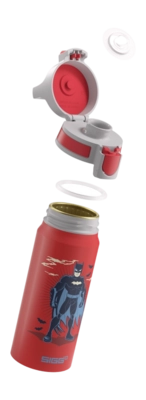 3---SIGG-6035-30-0-6L-WMB-ONE-BATMAN-STANDING-EXS