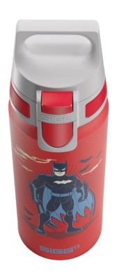 5---SIGG-6035-30-0-6L-WMB-ONE-BATMAN-STANDING-TC