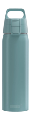 Waterfles Sigg WMB One Morning-Blue 0,75L ONE-Top