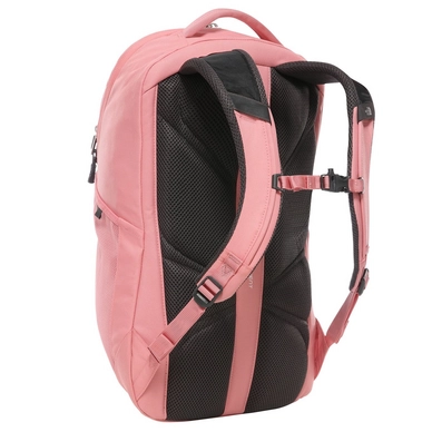 women vault mauve 2
