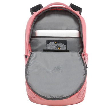 women vault mauve 3