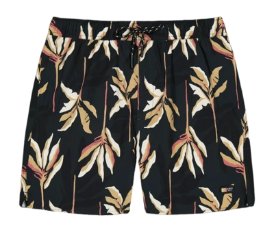 Zwembroek Barts Men Fervis Shorts Dark Grey Regular Fit