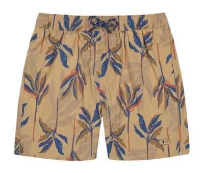 Zwembroek Barts Men Fervis Shorts Light Brown Regular Fit