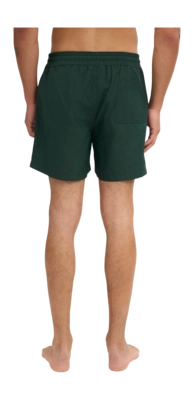 5---CS3010_Classic-Swim-Shorts_Emerald-Green_Male_5-_no-bg