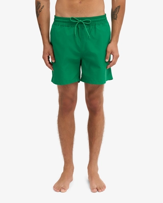 2---CS3010_Classic-Swim-Shorts_Kelly-Green_Male_3