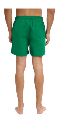 3---CS3010_Classic-Swim-Shorts_Kelly-Green_Male_4-_no-bg