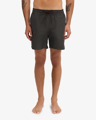 2---CS3010_Classic-Swim-Shorts_Lava-Grey_Male_3