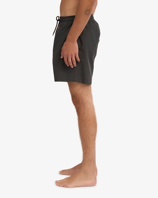 4---CS3010_Classic-Swim-Shorts_Lava-Grey_Male_4
