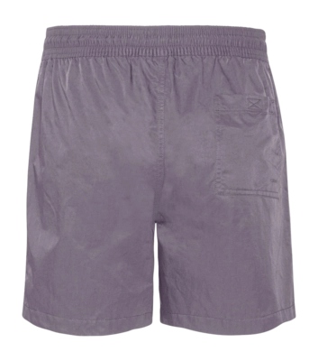 2---Classic_Swim_Shorts-Swim_Shorts-CS3010-Purple_Haze-4-_no-bg