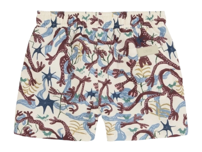 2---1668_02b1818efc-vireo-swim-shorts-904001-1527-98-multi-b-original