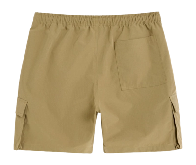 2---1641_14e8db975c-chase-swim-shorts-201009-1603-03-beige-b_-original-_no-bg