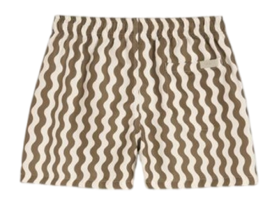 1617_34a856db3f-fine-waver-swim-shorts-201001-1502-b-original