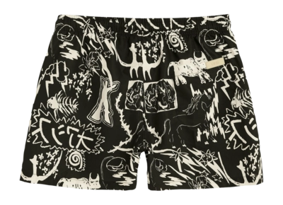2---1663_2a3241b96a-gensou-swim-shorts-201001-1524-09-black-b__-original-_no-bg