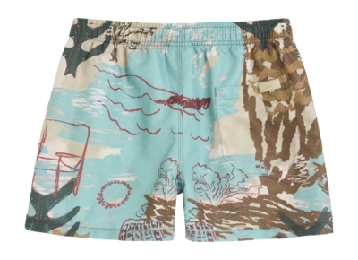 2---1655_c8ec614321-montara-swim-shorts-201001-1514-98-multi-b-original-_no-bg