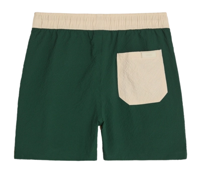 2---1667_438b48d068-rex-swim-shorts-201011-1602-59-b-original-_no-bg