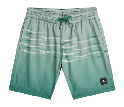 Zwembroek O'Neill Boys First Swimshorts Boys Green Heritage Flip Flop Regular Fit