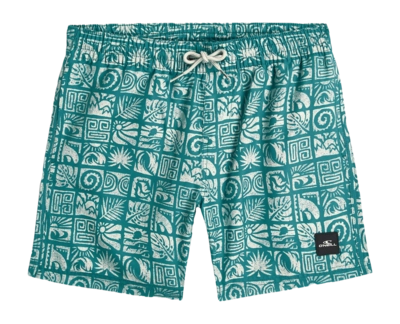Zwembroek O'Neill Boys Print Swimshorts Blue Bricks Regular Fit