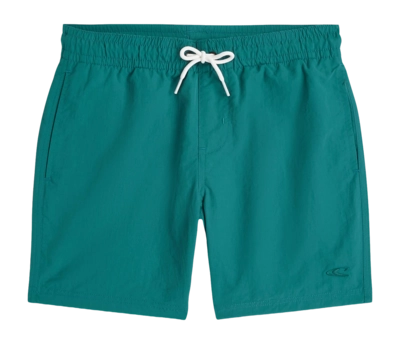 Zwembroek O'Neill Boys Vert Swimshorts Botanical Heat Regular Fit