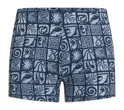 Zwembroek O'Neill Men Essential All-Over Print Racer Dark Blue Bricks Tight Fit