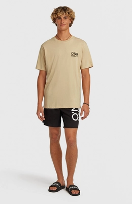 6---N2800024_19010_4_MODEL_124