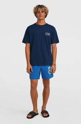 6---N2800024_15019_4_MODEL_713