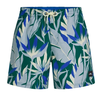 Zwembroek O'Neill Men Print 16 Inch Swimshorts Blue Tropicana Big Regular Fit