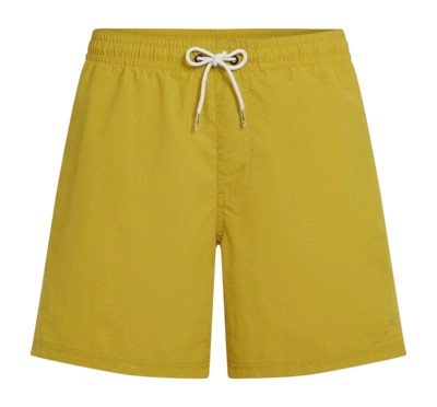 Zwembroek O'Neill Men Vert 16 Inch Swimshorts Angel Fern Regular Fit