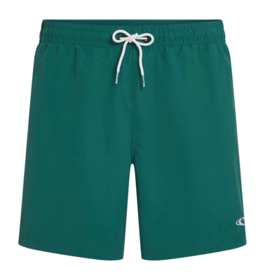 Zwembroek O'Neill Men Vert 16 Inch Swimshorts Botanical Heat Regular Fit