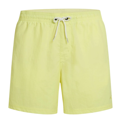 Zwembroek O'Neill Men Vert 16 Inch Swimshorts Rainforest Dew Regular Fit