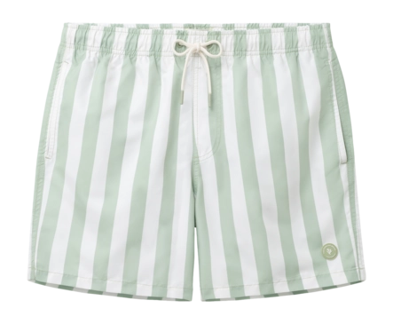 Zwembroek Shiwi Men MAC Broad Stripe Green Dust Stripe