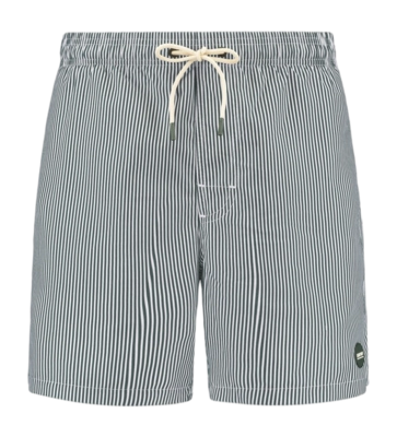 Zwembroek Shiwi Men Mike 7 Inch Green Leaf Fine Stripes