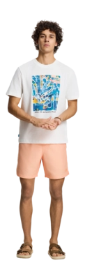 7---1525107100_2041_6