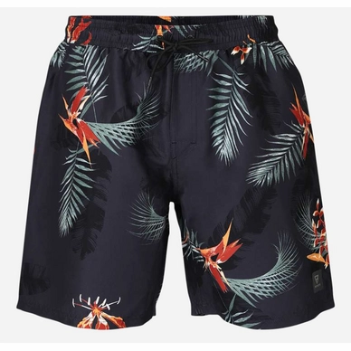 Boardshort Brunotti Men Maron-AO Titanium