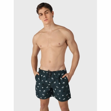 Zwemshort Men Roshan green 4