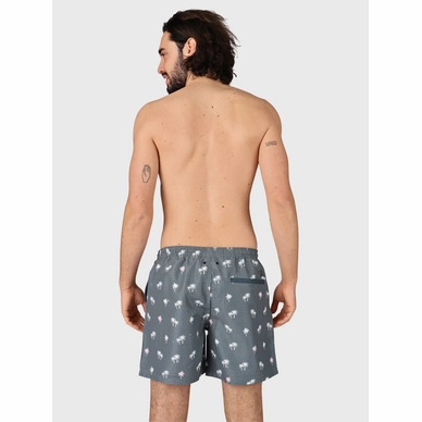 Zwemshort Men Roshan grijs 5