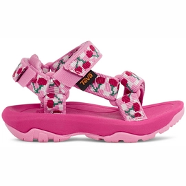Sandals Teva Toddler Hurricane XLT 2 Picnic Cherries Rosebloom Bright White-Shoe size 20