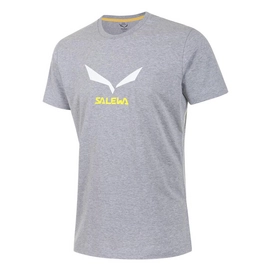 T-shirt Salewa Solidlogo 2 Men Grey Melange