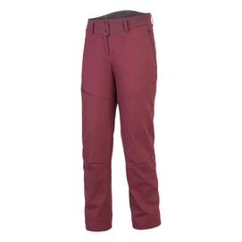 Trousers Salewa Puez Merrick 2 Softshell Women Tawny Port