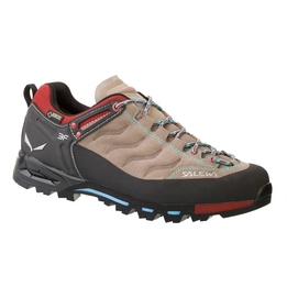 Wanderschuh Salewa Mountain Trainer GTX Funghi Damen