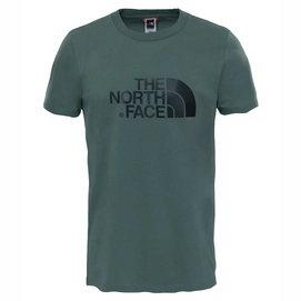 T-Shirt The North Face S S Easy Tee Thyme Herren