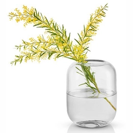 Vase Eva Solo Acorn Transparent 16.5 cm
