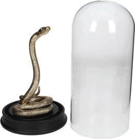 Ornament HD Living Snake Champagne 14 x 14 cm