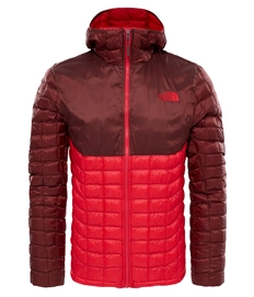 Winter Jacket The North Face Men Thermoball Hoodie Sequoia Red