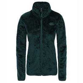 North face hotsell osito green