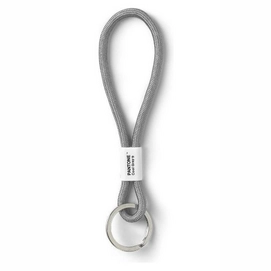 Schlüsselbund Copenhagen Design Pantone Pantone Klein Cool Grey