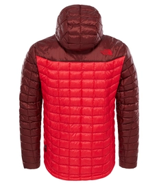 Winterjas The North Face Men Thermoball Hoodie Sequoia Red