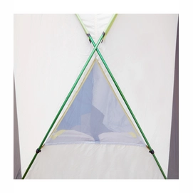 Tent The North Face Tadpole New Taupe Green